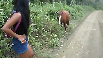 Teen Thai Girl Heatherdeep Gets Creampied By Big Horse Cock